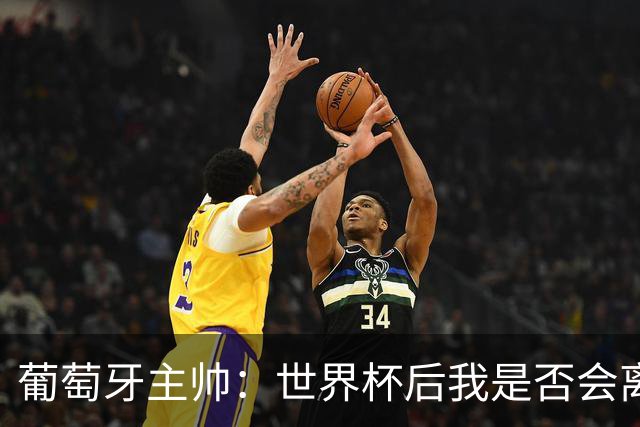 葡萄牙主帅：世界杯后我是否会离任？现在重要的是专注于世界杯