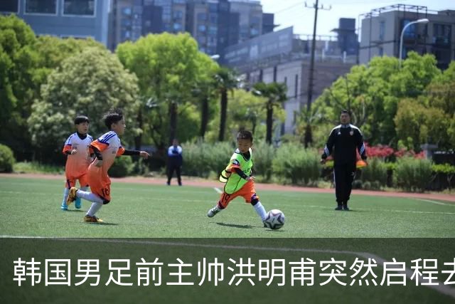 韩国男足前主帅洪明甫突然启程去美国，外媒：因在韩受到死亡威胁，他戴着帽子“逃离”