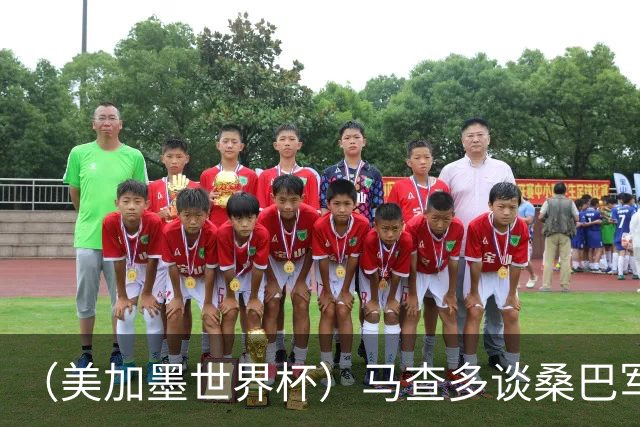 （美加墨世界杯）马查多谈桑巴军团折戟：“巴西首先要找回自己”